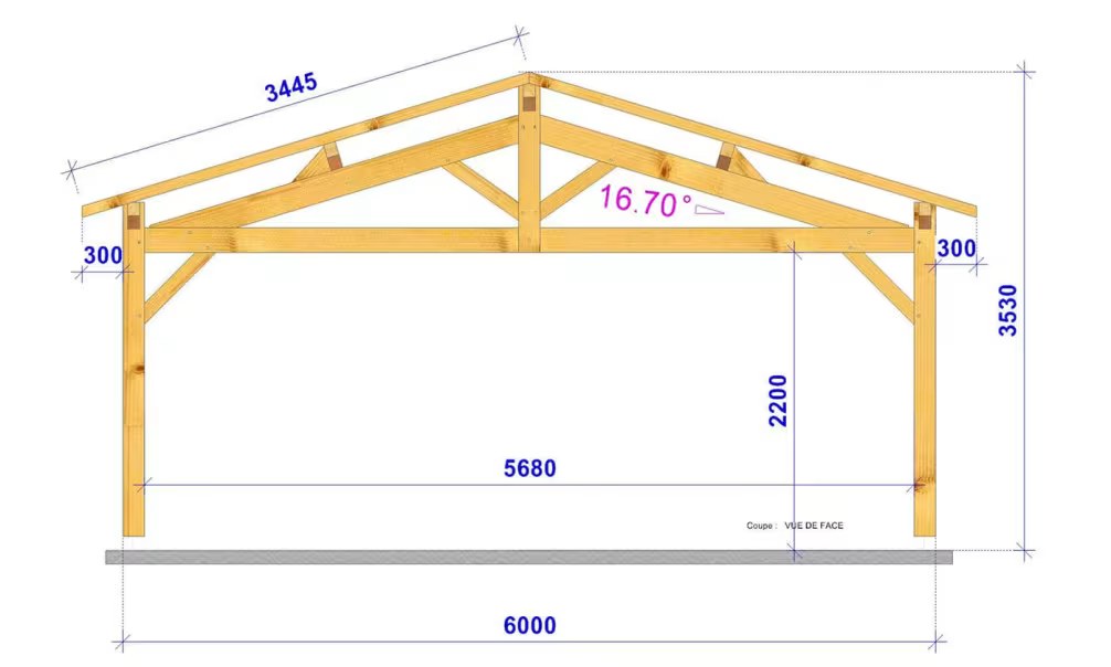 Carport Strélizia Satteldach 6,60×6,60m Douglasie – Bild 4