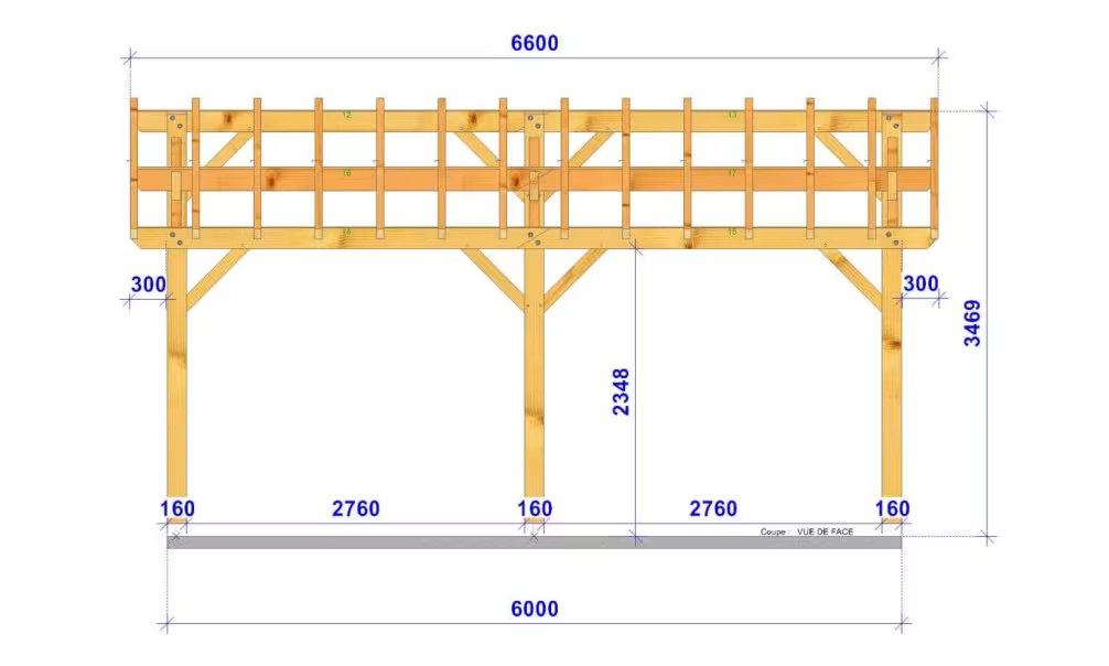 Carport 1 Fahrzeug Pultdach Guzmania – Anlehn-Carport – Douglasie – Bild 2