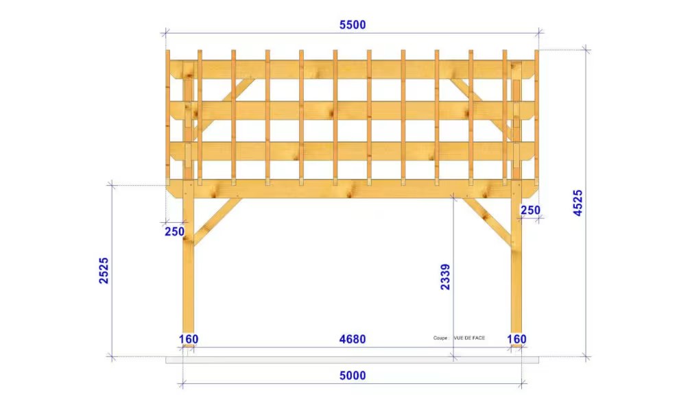 Doppelcarport Pultdach Nolana – Anlehn – Douglasie – Bild 2