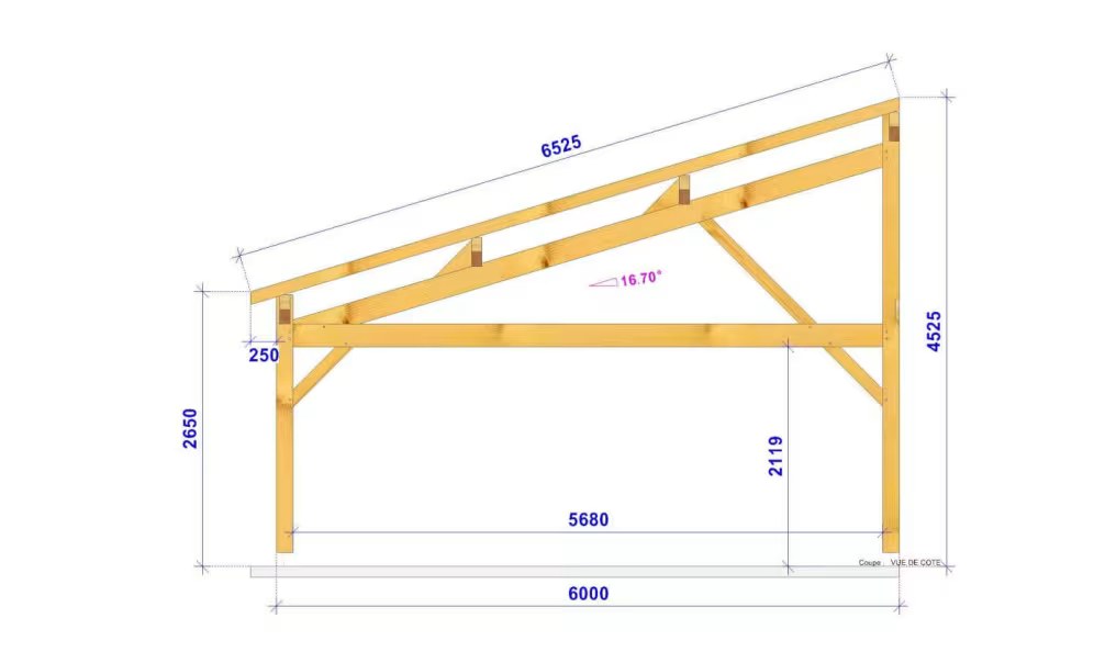 Doppelcarport Pultdach Nolana – Anlehn – Douglasie – Bild 3