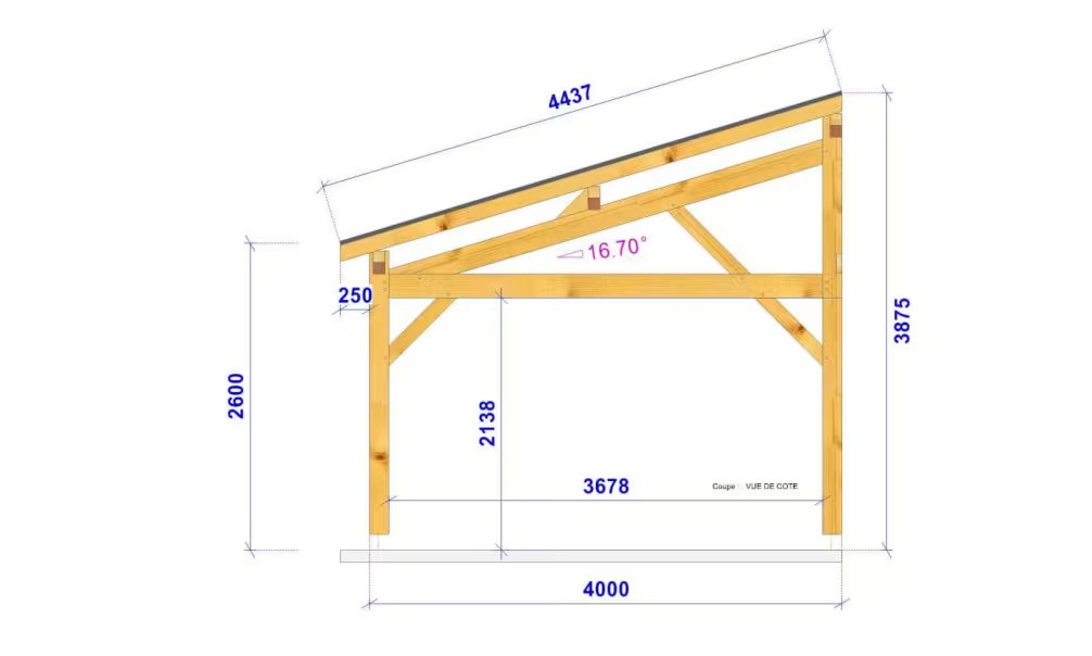 Carport 1 Fahrzeug Pultdach Watsonia – Anlehn- – Douglasie – Bild 3