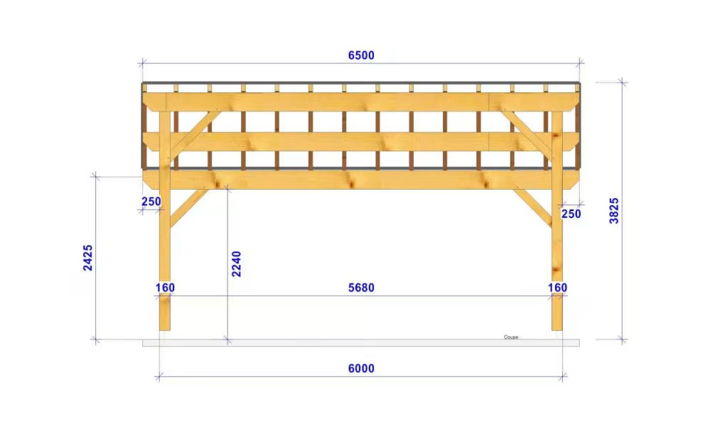 Carport 1 Fahrzeug Pultdach Scaevola – Anlehn- – Douglasie – Bild 2