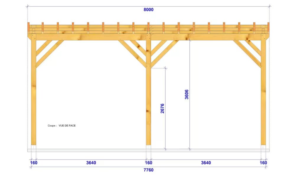 Carport für Wohnmobil Pultdach Clintonia – Anlehn- – Douglasie – Bild 2