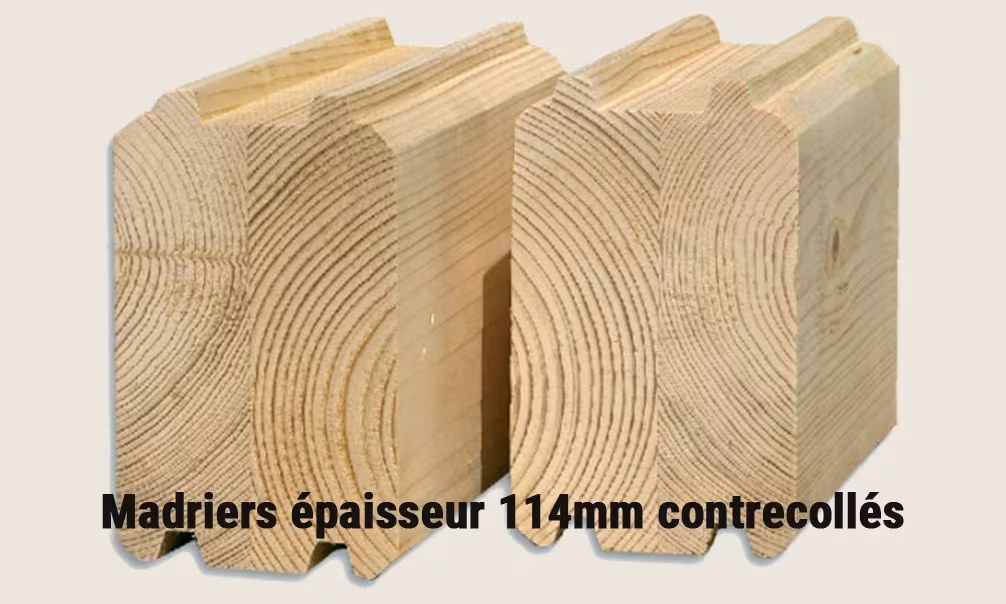 Gartenhaus BAYONNE 114mm CC – 14,23m² Innenraum – Bild 3